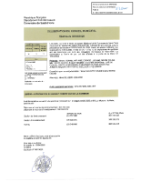 DELIB 2025_30 APPROBATION BP 2025 COMMUNE-tampon